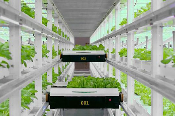 04無人植物工廠.jpg